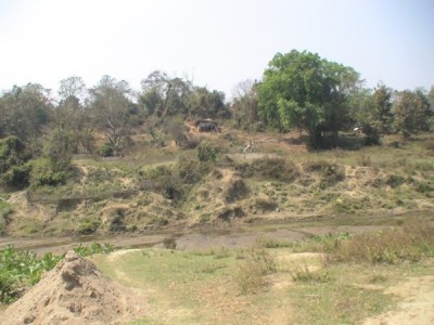 Indo Bangla border